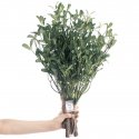 AmeliaHome Artificial flower AH PLANTI, 10 pcs. AmeliaHome Artificial flower AH PLANTI, 10 pcs.