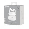 Audictus Dopamine Гарнитура True Wireless Stereo (TWS) Вкладыши Calls/Music Bluetooth Белый Audictus Dopamine Гарнитура True Wireless Stereo (TWS) Вкладыши Calls/Music Bluetooth Белый