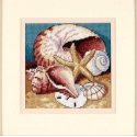 DIMENSIONS Groves Of Thame Shell Collage D07219 DIMENSIONS Groves Of Thame Shell Collage D07219