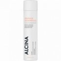 ALCINA REGENERATING CHAMPIONSHIP 250ml shampoo ALCINA REGENERATING CHAMPIONSHIP 250ml shampoo
