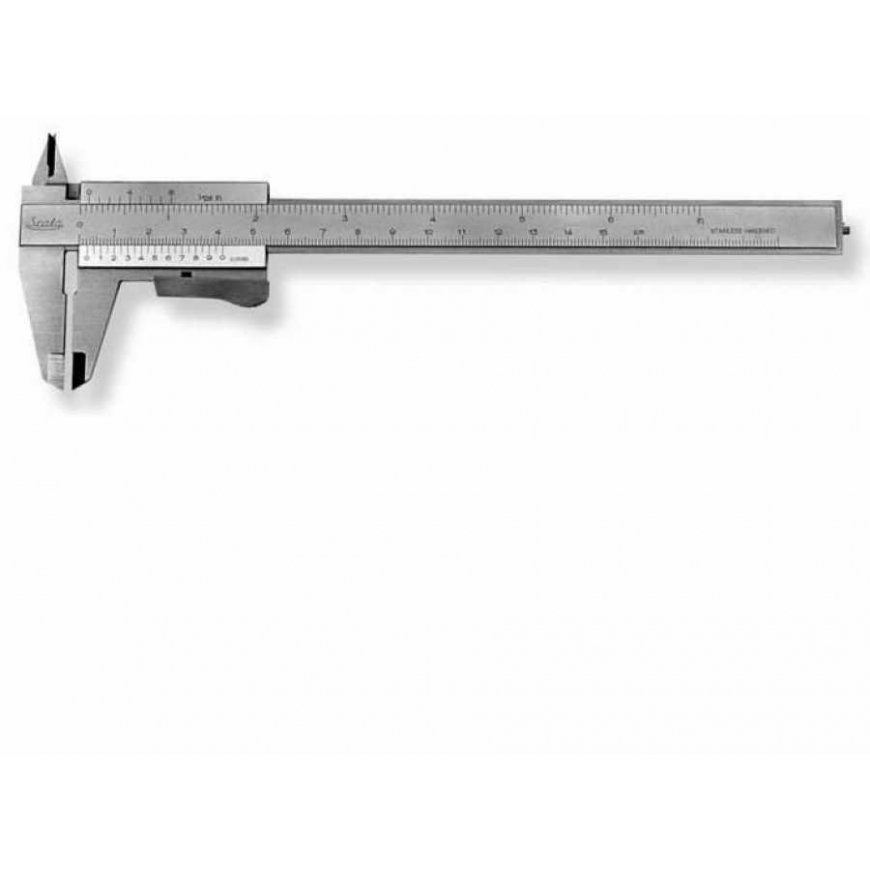 Jarrusatula Scala 251 150x0.05x40 mm