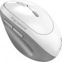 Wireless mouse, Genius Ergo 8350S, white, optical, 2400DPI