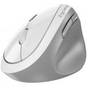 Langaton hiiri, Genius Ergo 8350S, valkoinen, optinen, 2400DPI