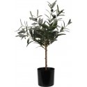 ProGarden Artificial olive tree plant, 66 cm ProGarden Artificial olive tree plant, 66 cm