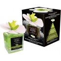 Humidifier Sweet Home Collection Aroma diffuser White Musk and Peony 150 ml Humidifier Sweet Home Collection Aroma diffuser White Musk and Peony 150 ml