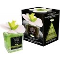 Drėkintuvas Sweet Home Collection Aroma difuzorius Baltas Musk and Peony 150 ml Drėkintuvas Sweet Home Collection Aroma difuzorius Baltas Musk and Peony 150 ml