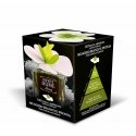 Humidifier Sweet Home Collection Aroma diffuser White Musk and Peony 150 ml Humidifier Sweet Home Collection Aroma diffuser White Musk and Peony 150 ml