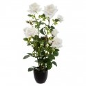 Atmosphera Artificial plant in a pot BUSH Roses, 74 cm, white Atmosphera Artificial plant in a pot BUSH Roses, 74 cm, white