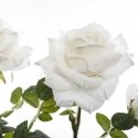 Atmosphera Artificial plant in a pot BUSH Roses, 74 cm, white Atmosphera Artificial plant in a pot BUSH Roses, 74 cm, white