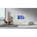 TCL 55A300W TCL 55A300W