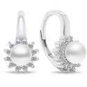 Brilio Silver Elegant silver earrings with zircons EA788W