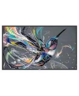 Philips Signage Solutions 75BDL3511Q/00 Signage Display