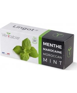 Veritable Véritable Lingot Marocká máta - BIO