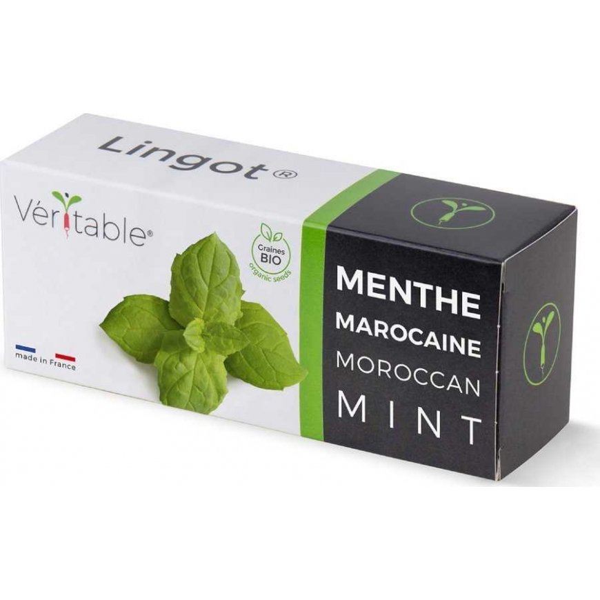 Veritable Véritable Lingot Marocá máta - BIO