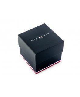 VYRIŠKAS LAIKRODIS TOMMY HILFIGER 1710475 Henry (zf081a)
