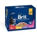 Brit Premium tükid kastmes -multipack, 12 x 100 g Brit Premium tükid kastmes -multipack, 12 x 100 g