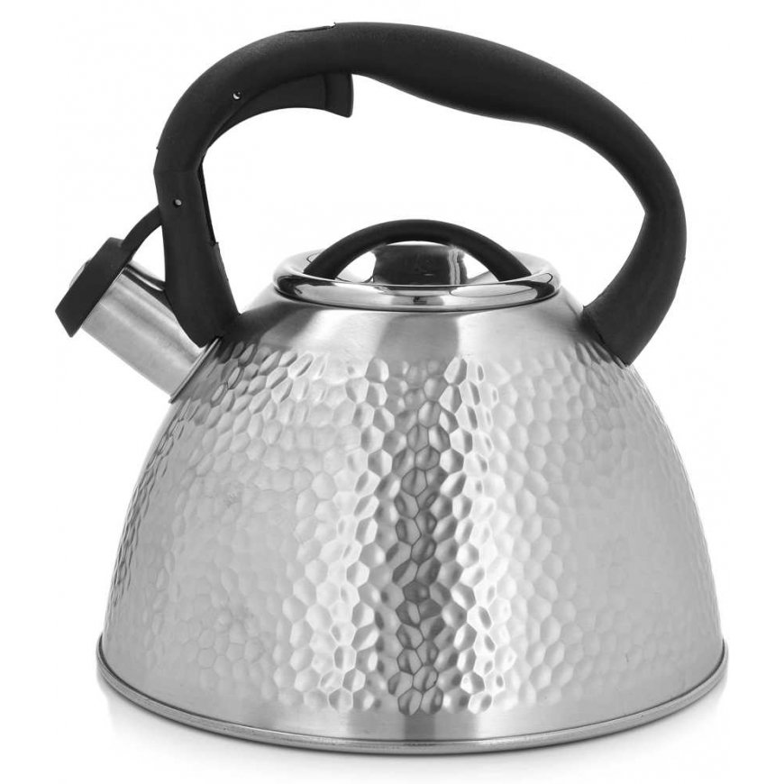 Vedenkeitin pillillä Bubble 2,6 l terästä AMBITION