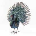 ProGarden decorative peacock bird for the garden ProGarden decorative peacock bird for the garden