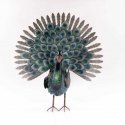 ProGarden decorative peacock bird for the garden ProGarden decorative peacock bird for the garden
