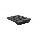 A4Tech Fstyler FGK21C numeric keypad Universal USB Black, Grey A4Tech Fstyler FGK21C numeric keypad Universal USB Black, Grey