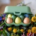 koziol to go mini Rectangular Box Green 1 pc(s)