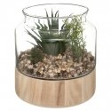 Atmosphera Artificial plants, height 17.5 cm, in a glass terrarium based on Atmosphera Artificial plants, height 17.5 cm, in a glass terrarium based on