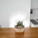 Atmosphera Artificial plants, height 17.5 cm, in a glass terrarium based on Atmosphera Artificial plants, height 17.5 cm, in a glass terrarium based on