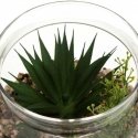 Atmosphera Dirbtiniai augalai, aukštis 17,5 cm, stikliniame terariume remiantis Atmosphera Dirbtiniai augalai, aukštis 17,5 cm, stikliniame terariume remiantis