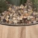 Atmosphera Dirbtiniai augalai, aukštis 17,5 cm, stikliniame terariume remiantis Atmosphera Dirbtiniai augalai, aukštis 17,5 cm, stikliniame terariume remiantis