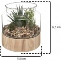 Atmosphera Artificial plants, height 17.5 cm, in a glass terrarium based on Atmosphera Artificial plants, height 17.5 cm, in a glass terrarium based on