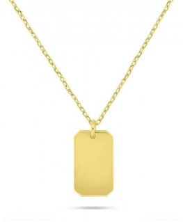 Brilio Silver Gold-plated pakabukas Dog tag NCL201Y (chain, pendant)
