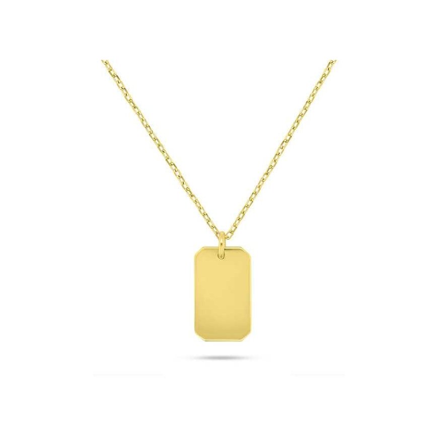 Brilio Silver Gold-plated pendant Dog tag NCL201Y (chain, pendant)