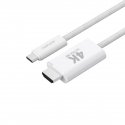 4smarts 540955 HDMI cable 2 m USB C HDMI Type A (Standard) White