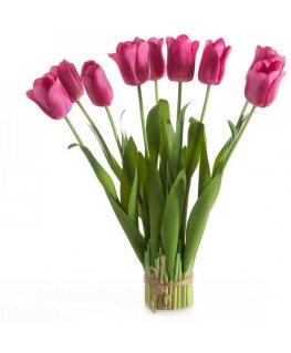 Eurofirany KW/NATU/476/AMA AMAR/BOOUQUET