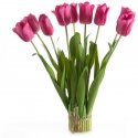 Eurofirany KW/NATU/476/AMA AMAR/BOOUQUET Eurofirany KW/NATU/476/AMA AMAR/BOOUQUET