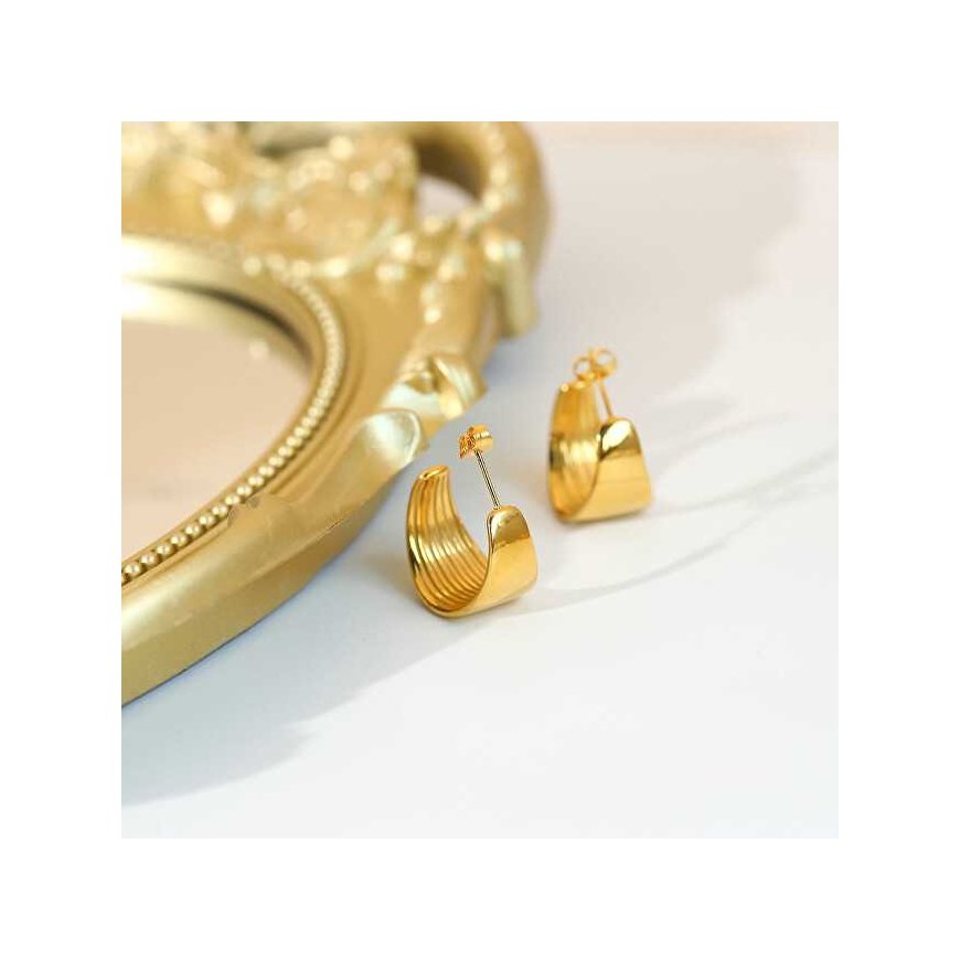 Troli Elegant steel hoop earrings VAAJDE201527S – 2