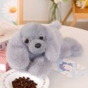 „Lean Toys“ pliušinis kokerspanielio šuo su pasvertomis letenėlėmis, pilkas, 30 cm „Lean Toys“ pliušinis kokerspanielio šuo su pasvertomis letenėlėmis, pilkas, 30 cm