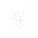 Clarins Acqua Micellare Detergente mitsellaarvesi 200 ml Clarins Acqua Micellare Detergente mitsellaarvesi 200 ml