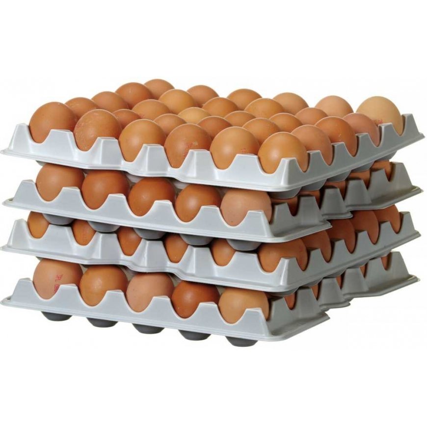 Hendi Tacka na jajka do container OVOBOX 120 - set of 4 pcs. – 3