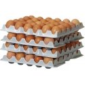 Hendi Tacka na jajka do container OVOBOX 120 - set of 4 pcs. Hendi Tacka na jajka do container OVOBOX 120 - set of 4 pcs.