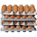 Hendi Tacka na jajka do container OVOBOX 120 - set of 4 pcs. Hendi Tacka na jajka do container OVOBOX 120 - set of 4 pcs.