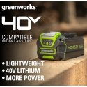 Greenworks 2927207 cordless tool battery / charger