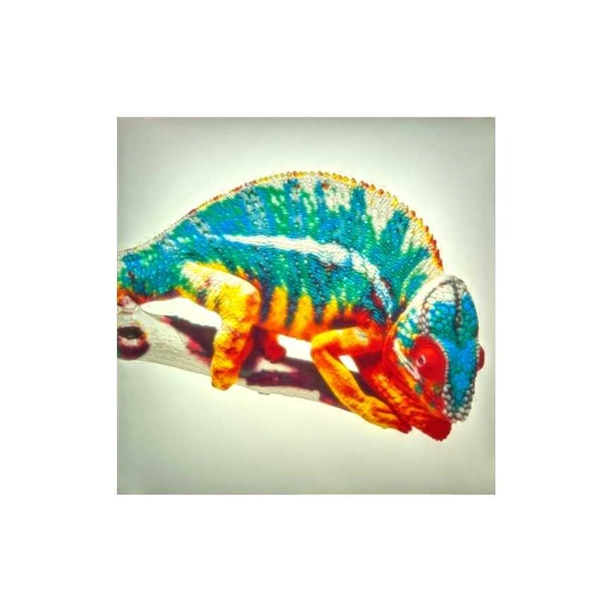 3D plastikas PLA Lithophane CMYK 1.75mm 4x1kg pakuotė Rosa3D – 4