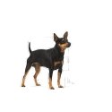 Royal Canin Digestive Care Meat, Vegetable Universal 85 g Royal Canin Digestive Care Meat, Vegetable Universal 85 g