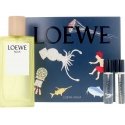 Loewe Agua EDT Spray, 100 ml Nav24 Sets Loewe Agua EDT Spray, 100 ml Nav24 Sets