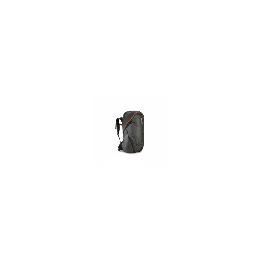 Kuprinė 20L 3 dienų Assault Pack - wz.93 Forest Panther