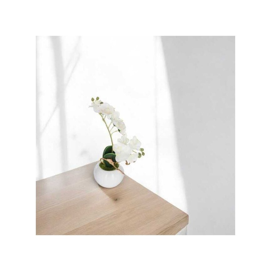 Atmosphera Balta dirbtinė orchidėja vazone, 25 cm – 2
