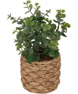 Atmosphera Dirbtinis eukaliptas JAYE keraminiame vazonėlyje, aukštis 27 cm