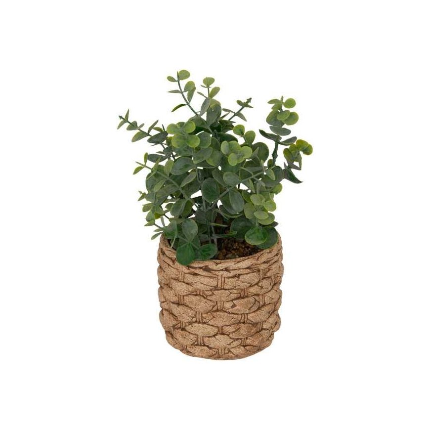 Atmosphera Artificial eucalyptus JAYE in ceramic pot, height 27 cm