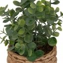 Atmosphera Artificial eucalyptus JAYE in ceramic pot, height 27 cm Atmosphera Artificial eucalyptus JAYE in ceramic pot, height 27 cm